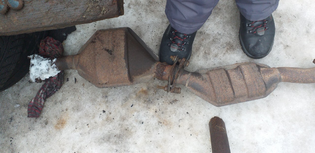 elena festival na more: Berdyansk